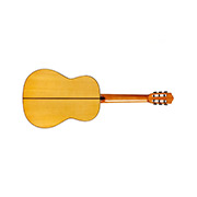 Horizontal back view of F10 ukulele thumb