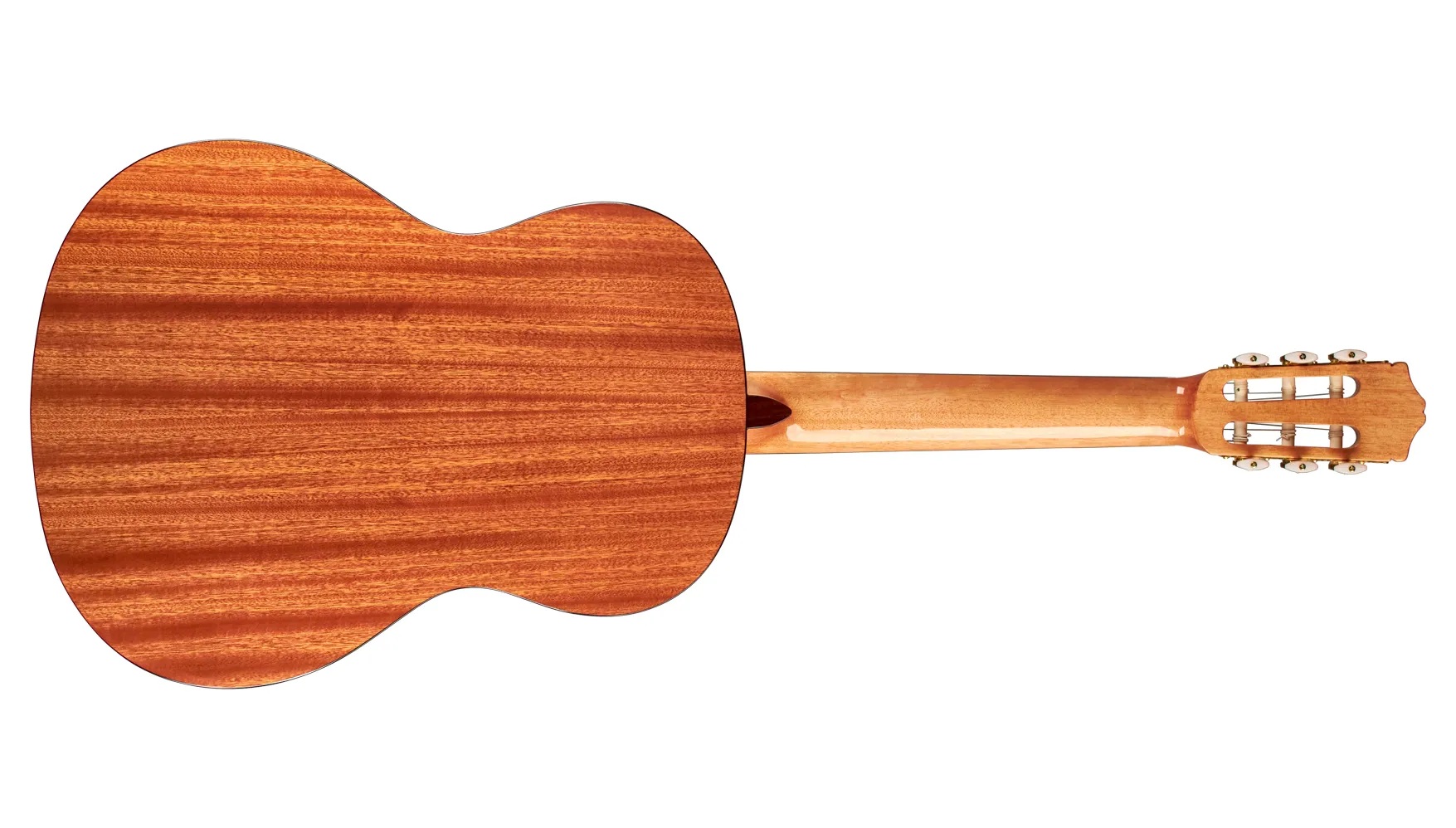 Horizontal back view of C1