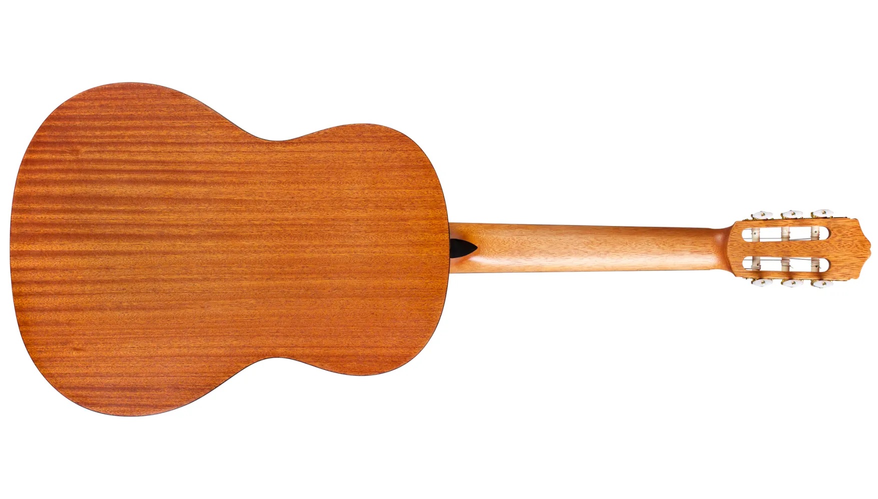 Horizontal back view of C1M
