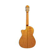 Vertical back view of Fusion 12 Maple thumb