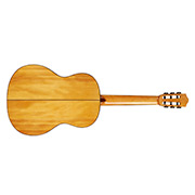 Horizontal back view of F7 Flamenco thumb