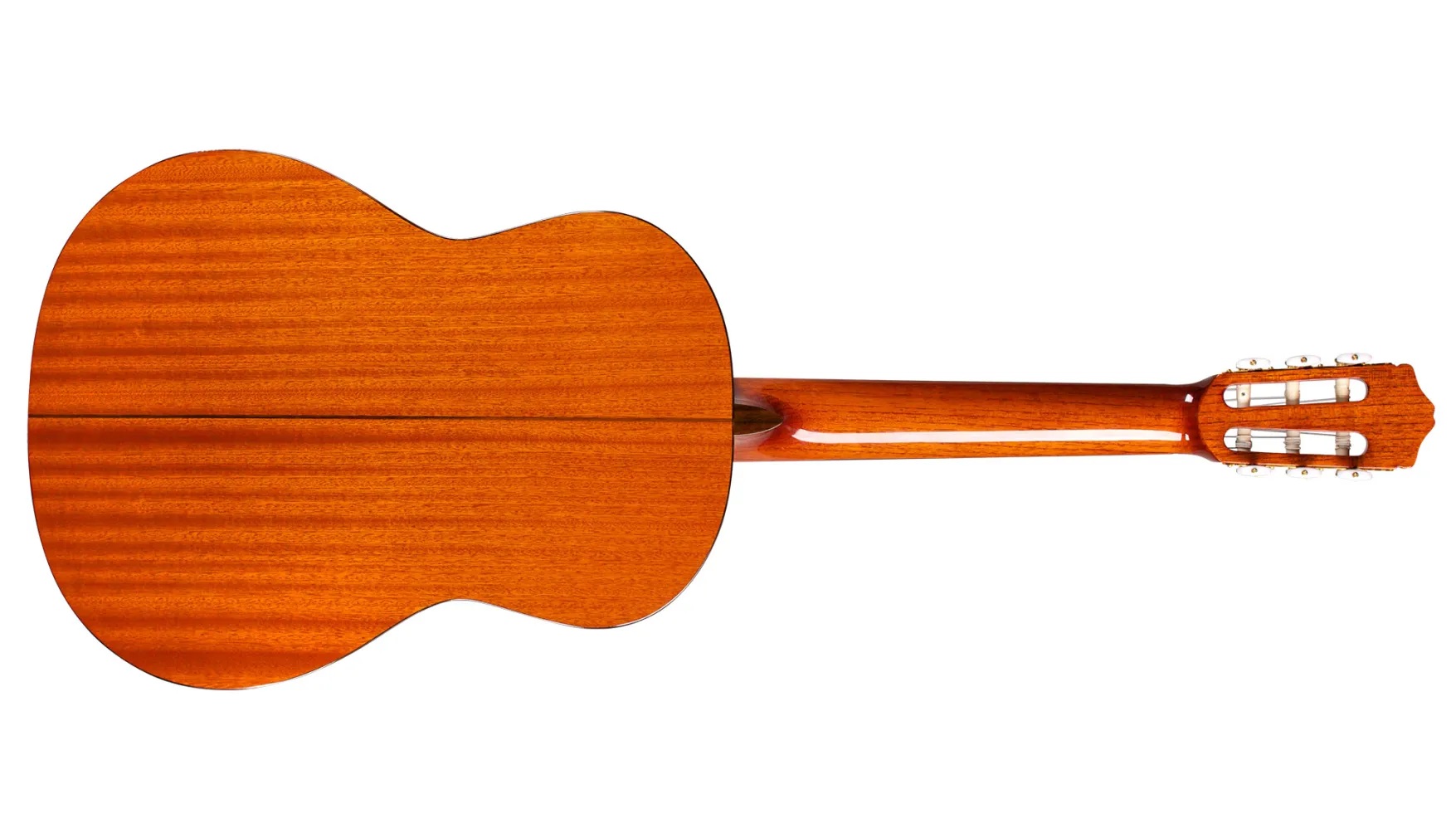 Horizontal back view of C5 Lefty