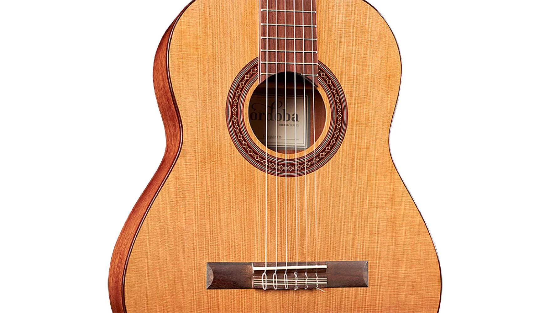 Close-up body view of Requinto