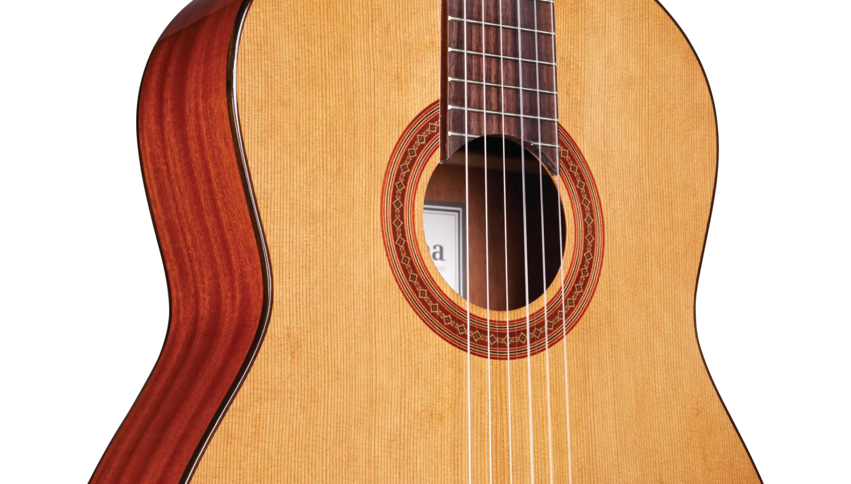 Close-up body view of C5 Lefty