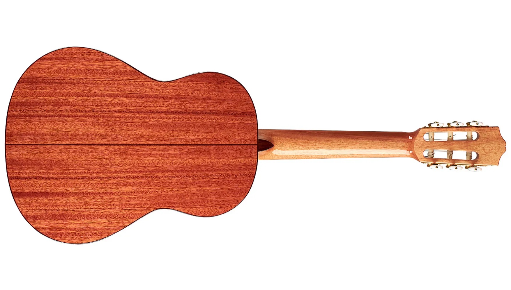 Horizontal back view of Requinto