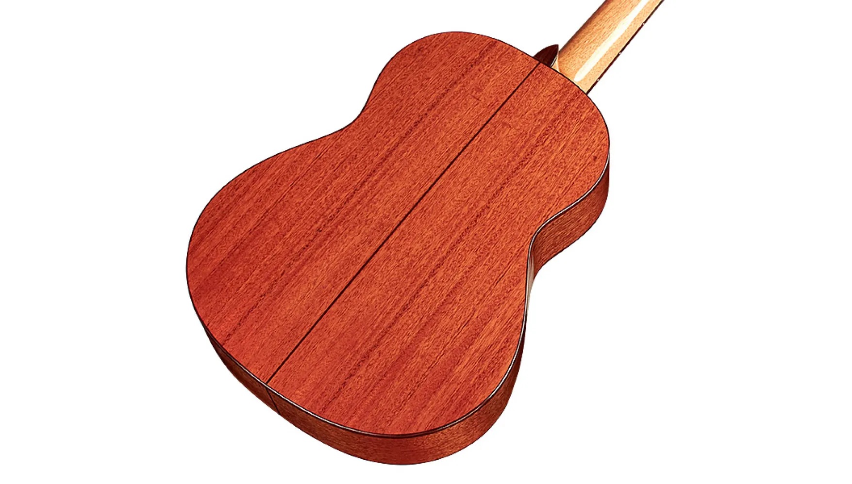 Angled close-up back body view of Requinto
