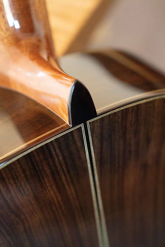Looking down the neck  at the front body of C7-SP