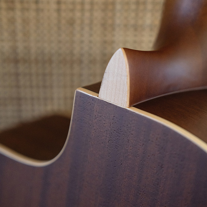 Looking down the neck  at the front body of C4-CE thumbnail