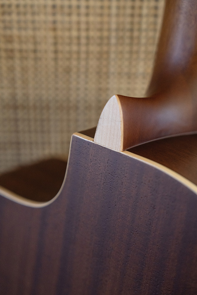 Looking down the neck  at the front body of C4-CE