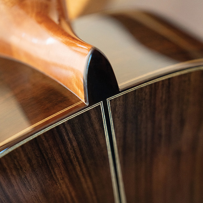 Looking down the neck  at the front body of C7-SP thumbnail