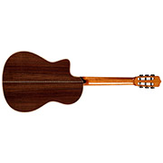 Horizontal back view of Fusion Orchestra CE Pro