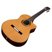 Angled close-up front body view of Fusion Orchestra CE Pro