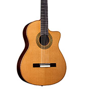 Close-up body view of Fusion Orchestra CE Pro