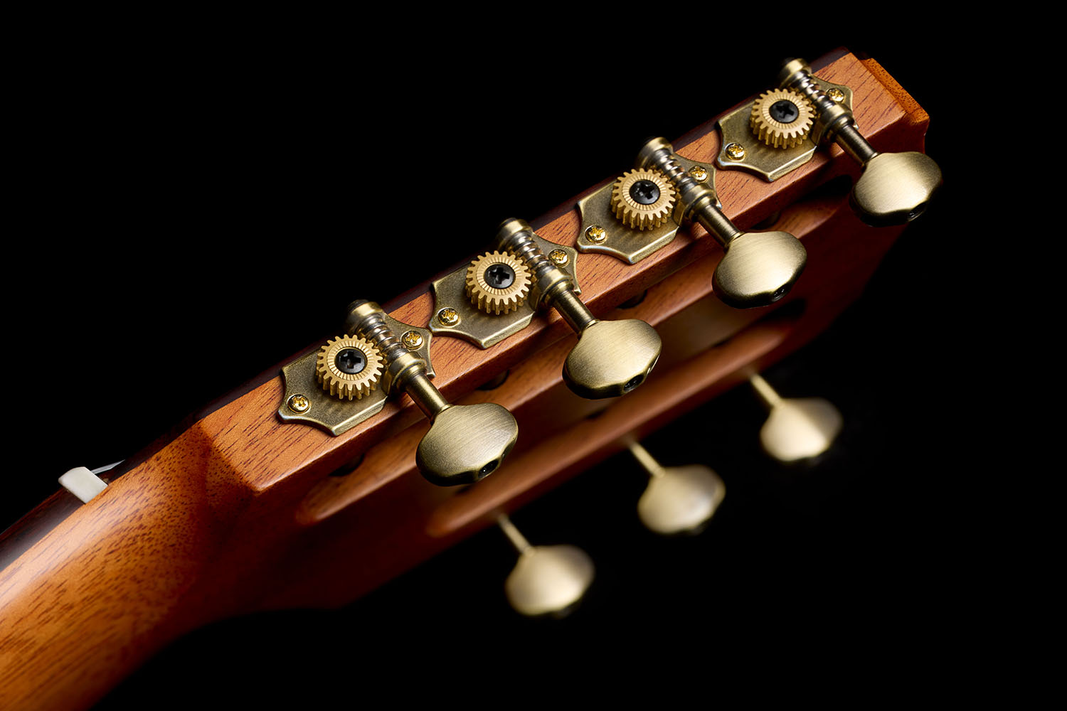 Close-up of the back of the Abasi Stage 7 Acacia's headstock, showing the row of seven brass tuning machines set at a fanned angle.