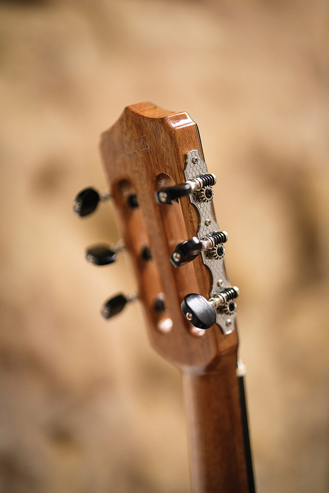 Close-up front of the headstock of Fusion 12 Rose II