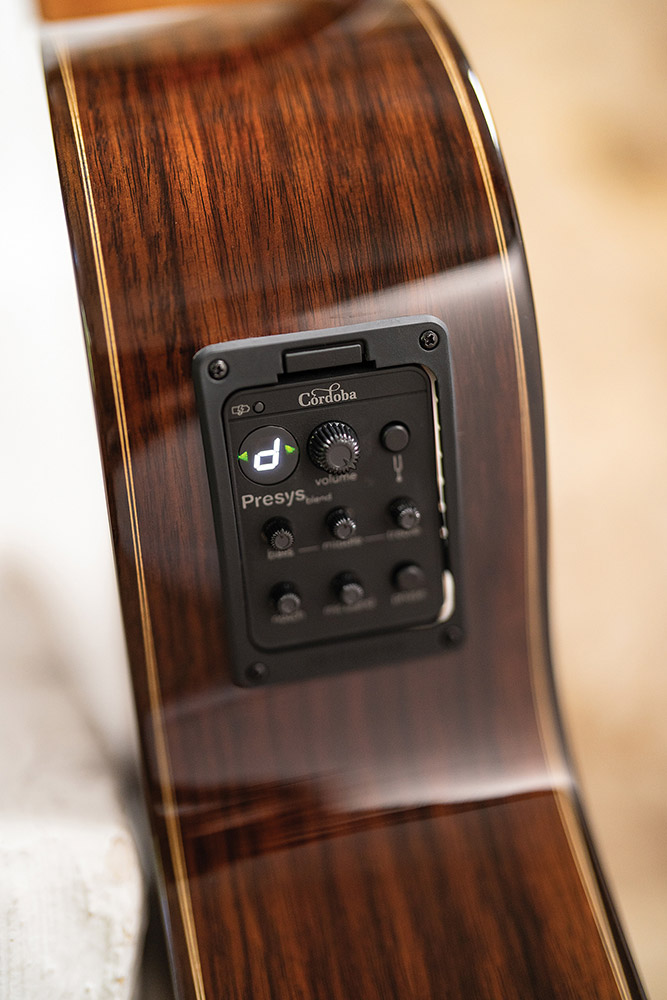 Looking down the neck  at the front body of Fusion 12 Rose II