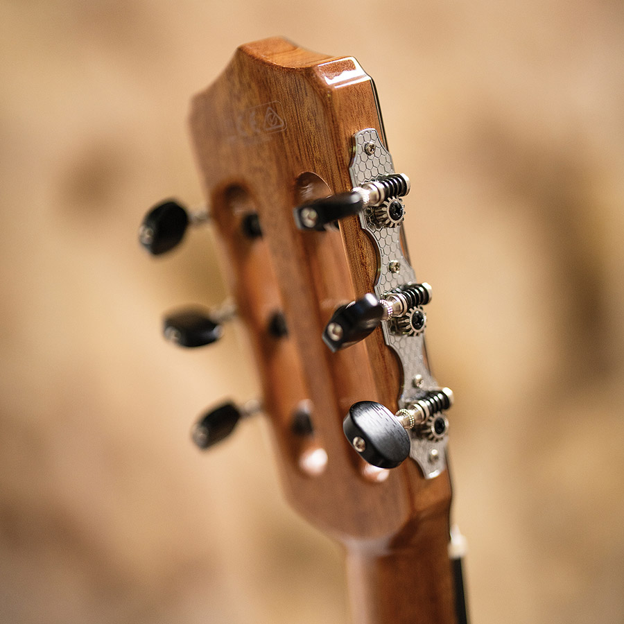 Close-up front of the headstock of Fusion 12 Rose II thumbnail