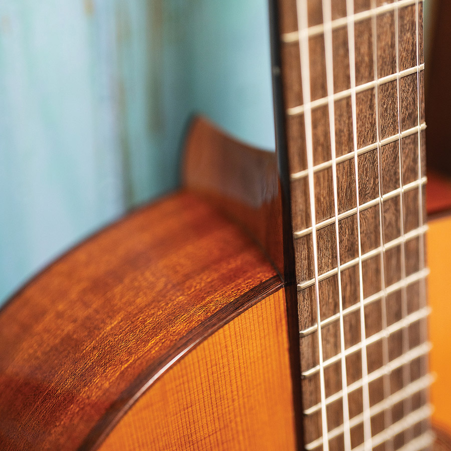 Close-up of the bridge of C5 thumbnail