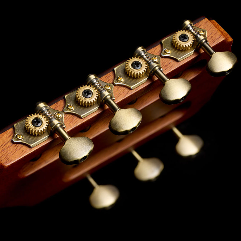 Close-up of the back of the Abasi Stage 7 Acacia's headstock, showing the row of seven brass tuning machines set at a fanned angle.