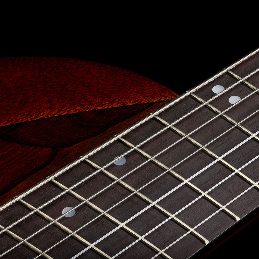 Close-up looking down the Abasi Stage 7 Ziricote's fanned-fret neck toward the body, showing the rosewood fingerboard and dot markers.