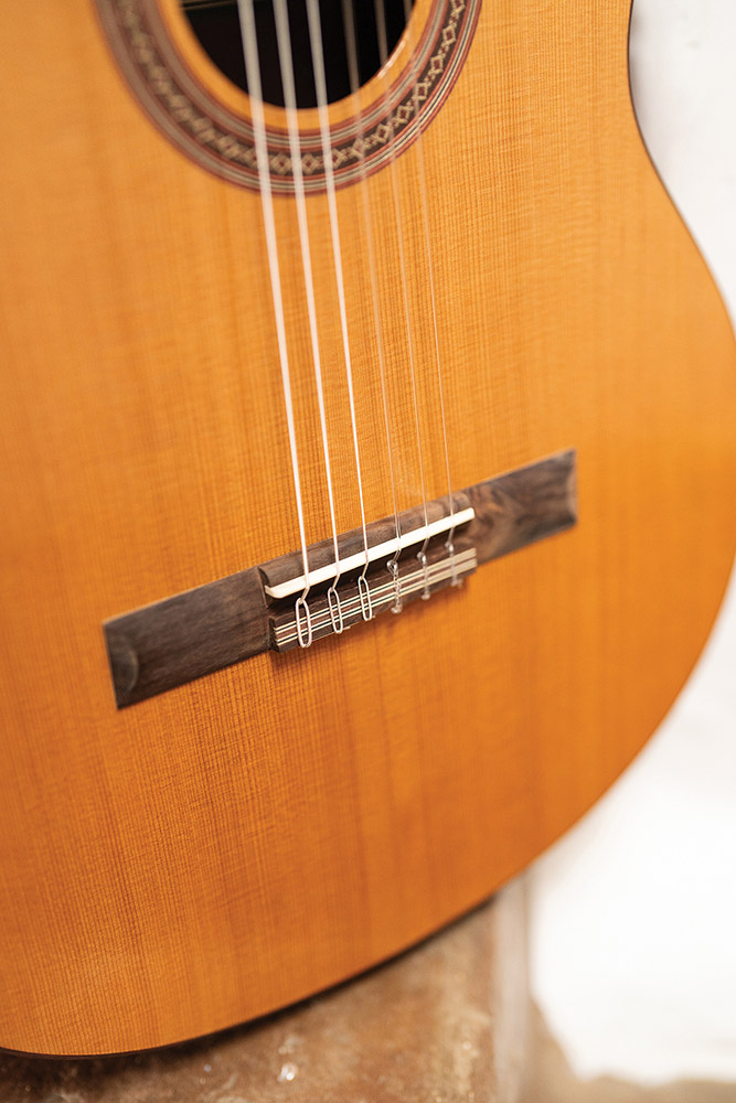 Close-up of the bridge of C5
