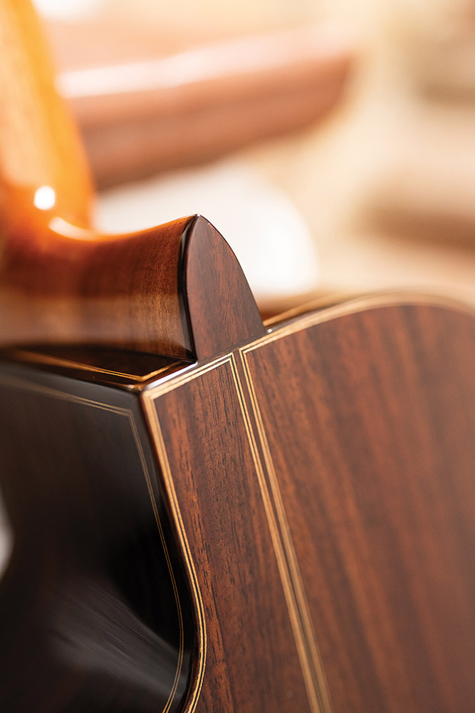 Back of the headstock of Fusion 12 Rose II