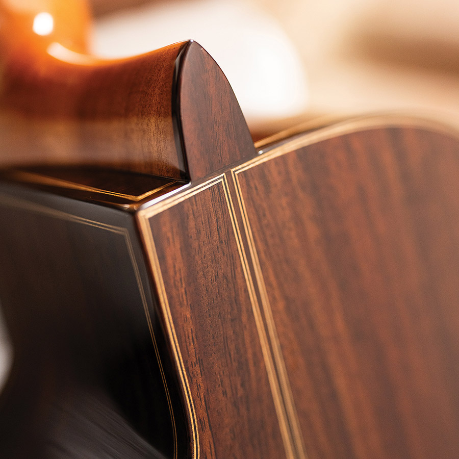 Back of the headstock of Fusion 12 Rose II thumbnail