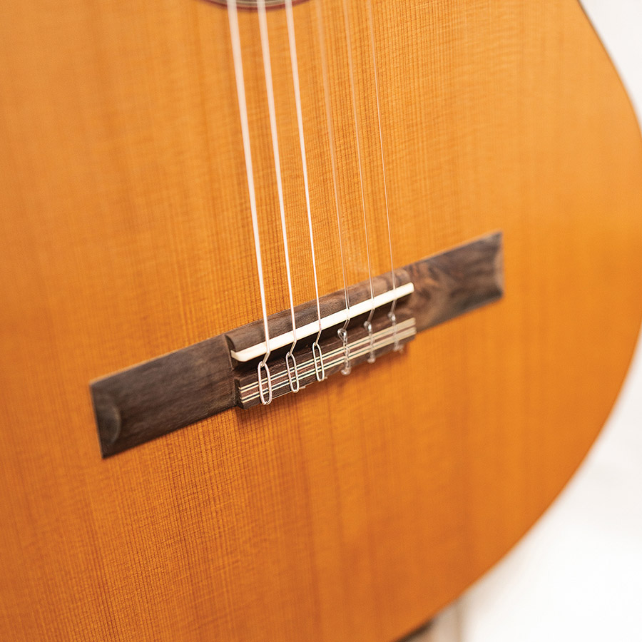 Close-up of the bridge of C5 thumbnail