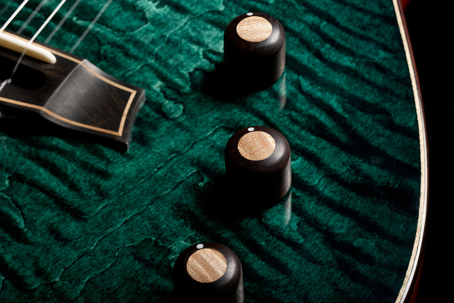 Close-up of Stage Artist Agave Burst knobs