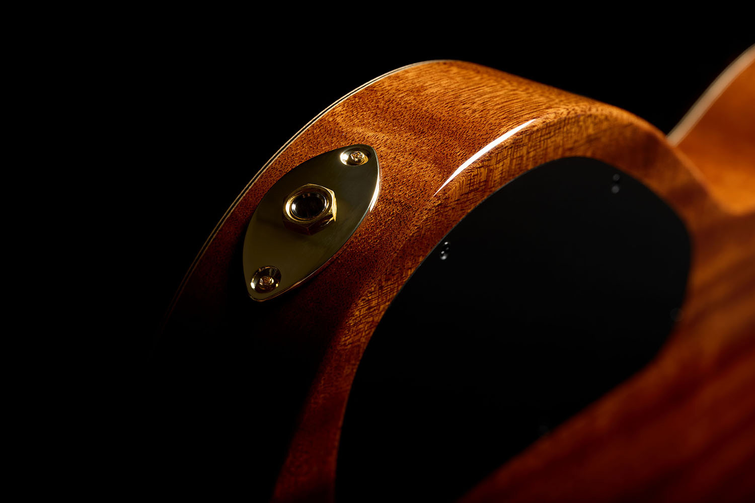 Close-up view of Stage Artist Habano Burst output jack