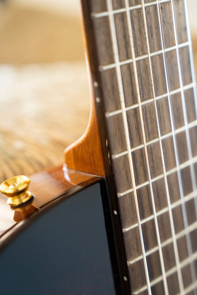 Close-up of Stage Edge Burst strap pin