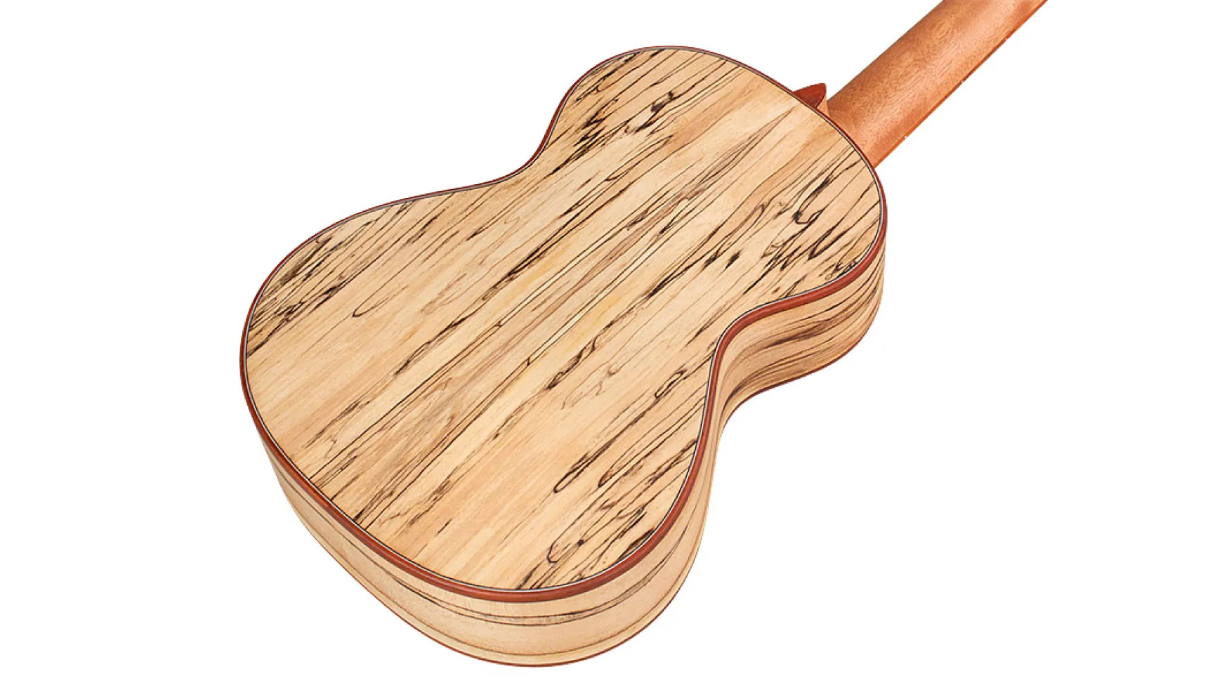 Angled back view of 24T Spruce ukulele
