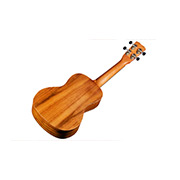 Close-up front body view of 25T ukulele thumb