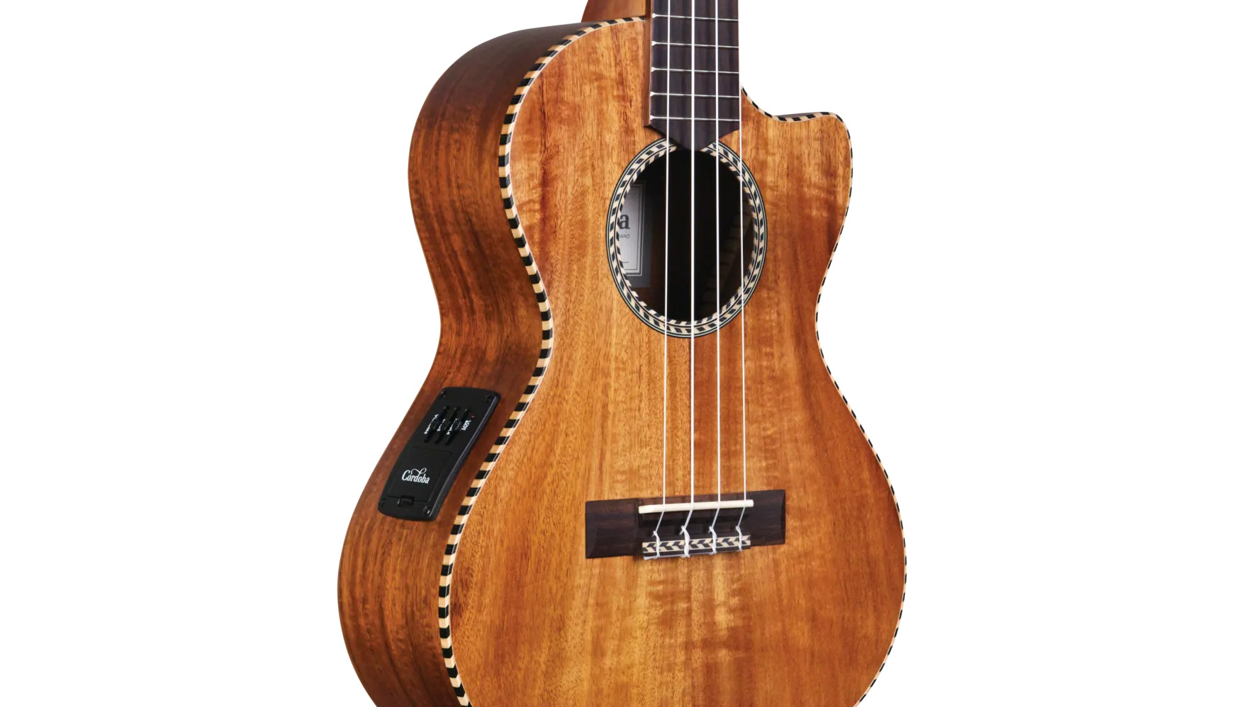 Close-up front body view of 25T-CE ukulele