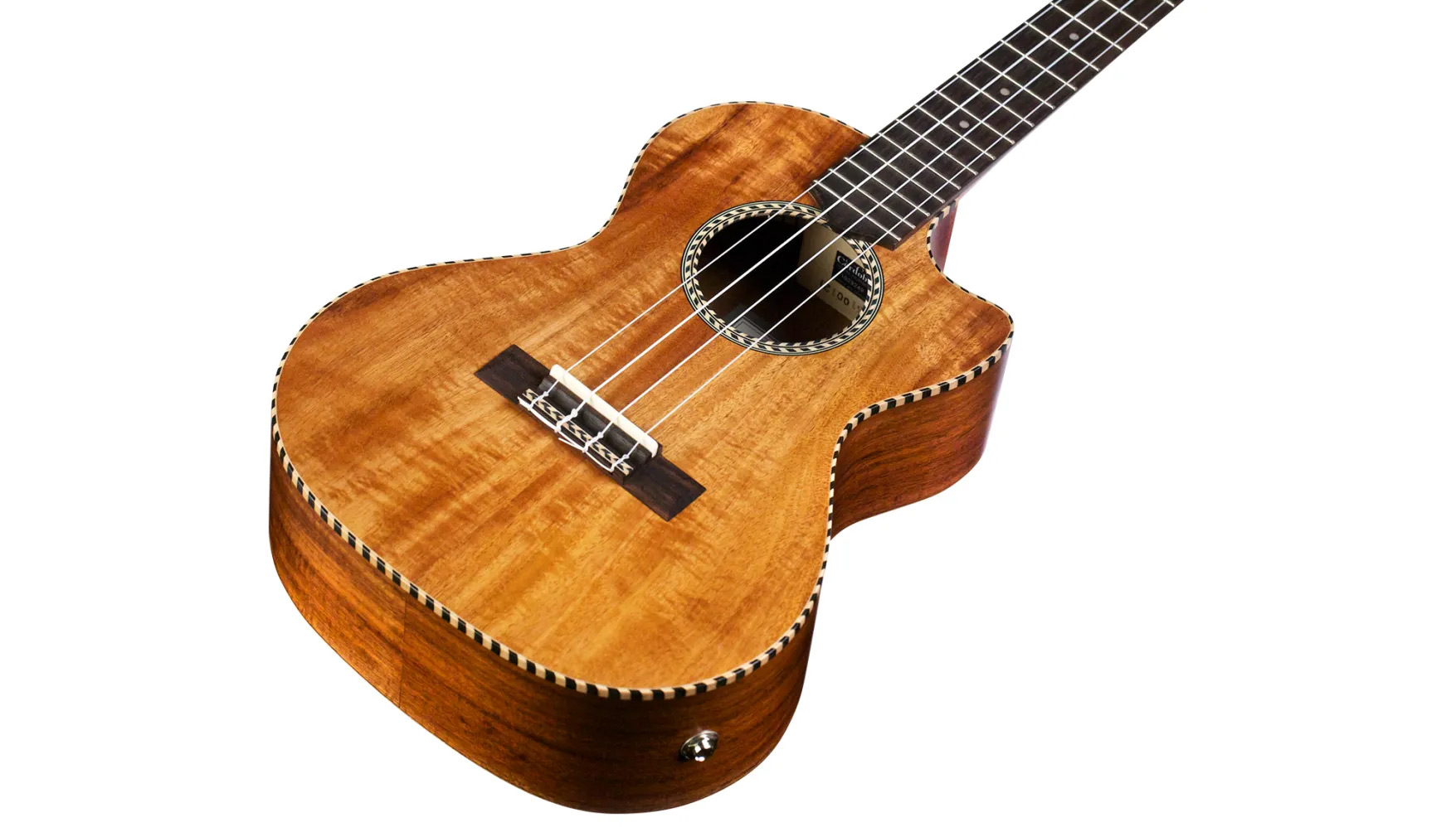 Angled front view of 25T-CE ukulele