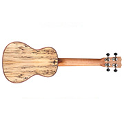 Horizontal back view of 24C Spruce ukulele thumb