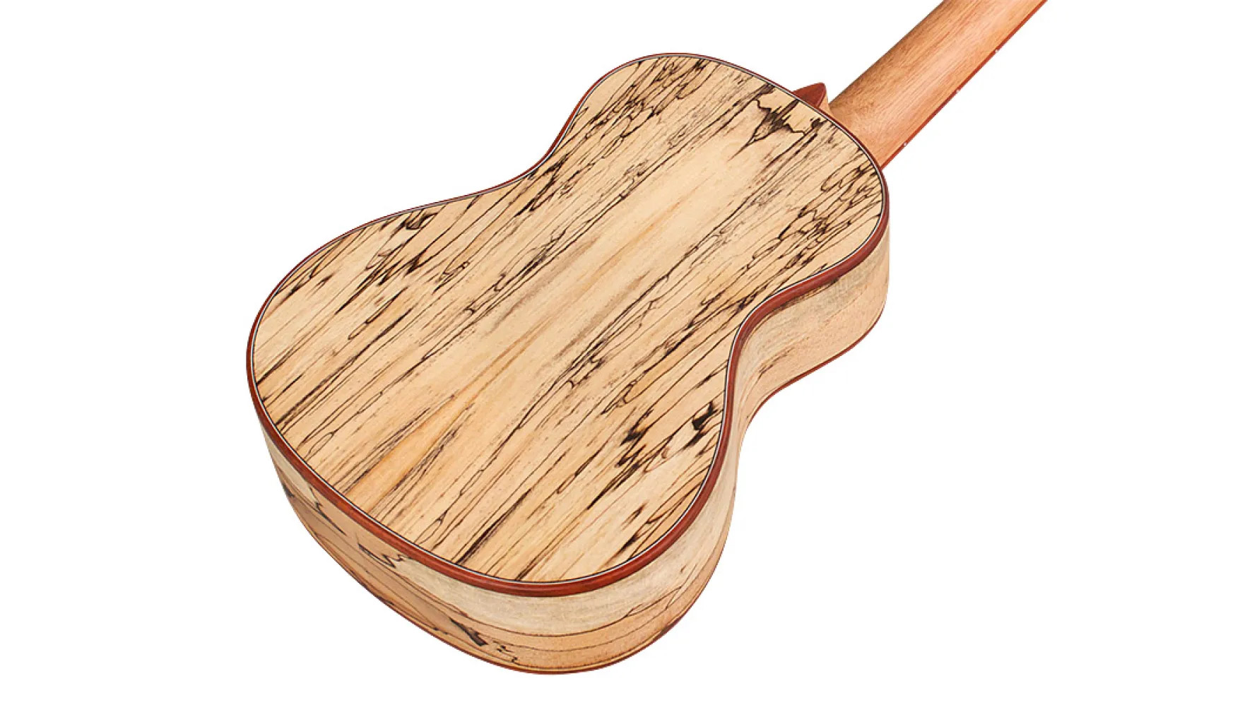 Angled back view of 24C Spruce ukulele