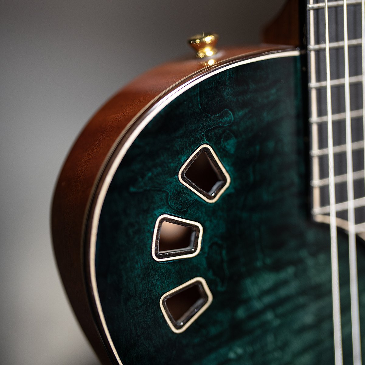 Close-up view of Córdoba Stage Artist Agave Burst showcasing the Exotic Top design