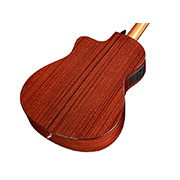 Angled close-up back body view of Fusion 12 Natural CD thumb