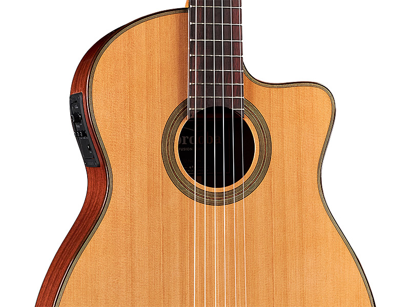 Close-up body view of Fusion 12 Natural CD