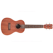 Horizontal front view of concert-sized ukulele thumb