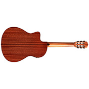 Horizontal back view of Fusion 12 Natural CD thumb