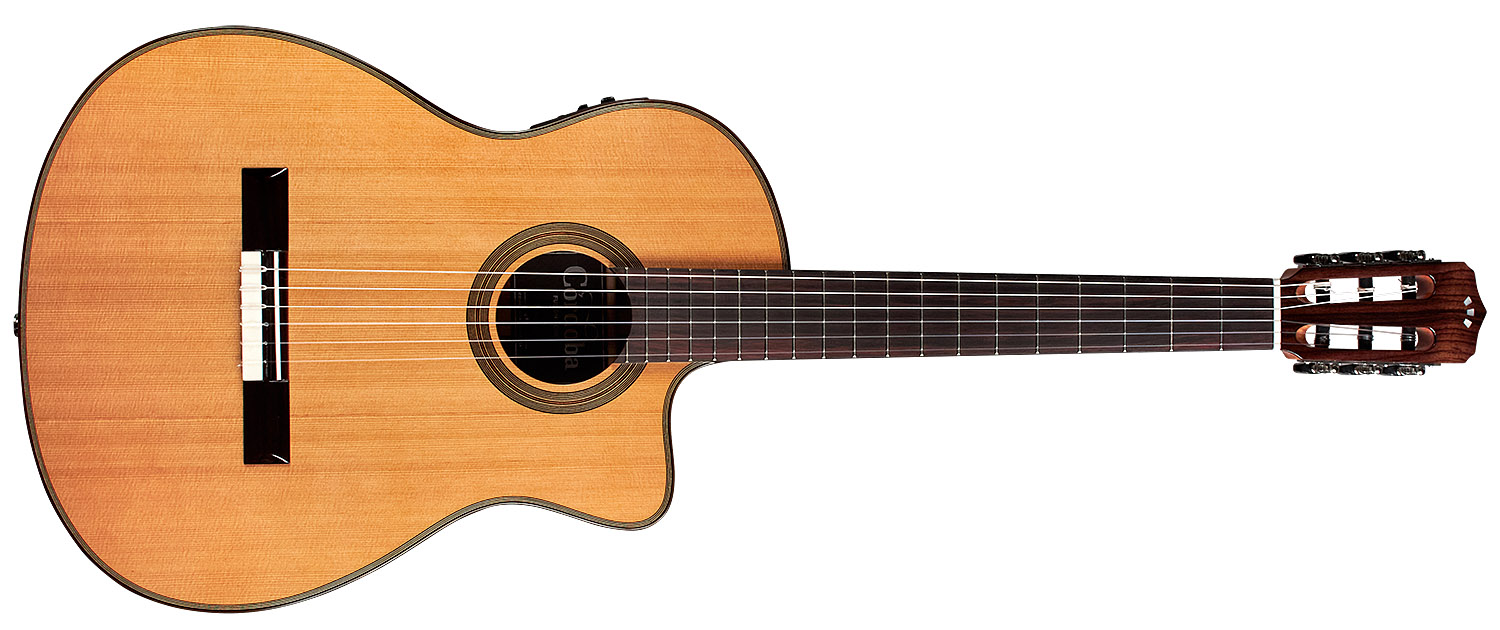 Horizontal front view of Fusion 12 Natural CD