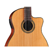 Close-up body view of Fusion 12 Natural CD thumb