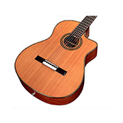 Angled close-up front body view of Fusion 12 Natural CD thumb