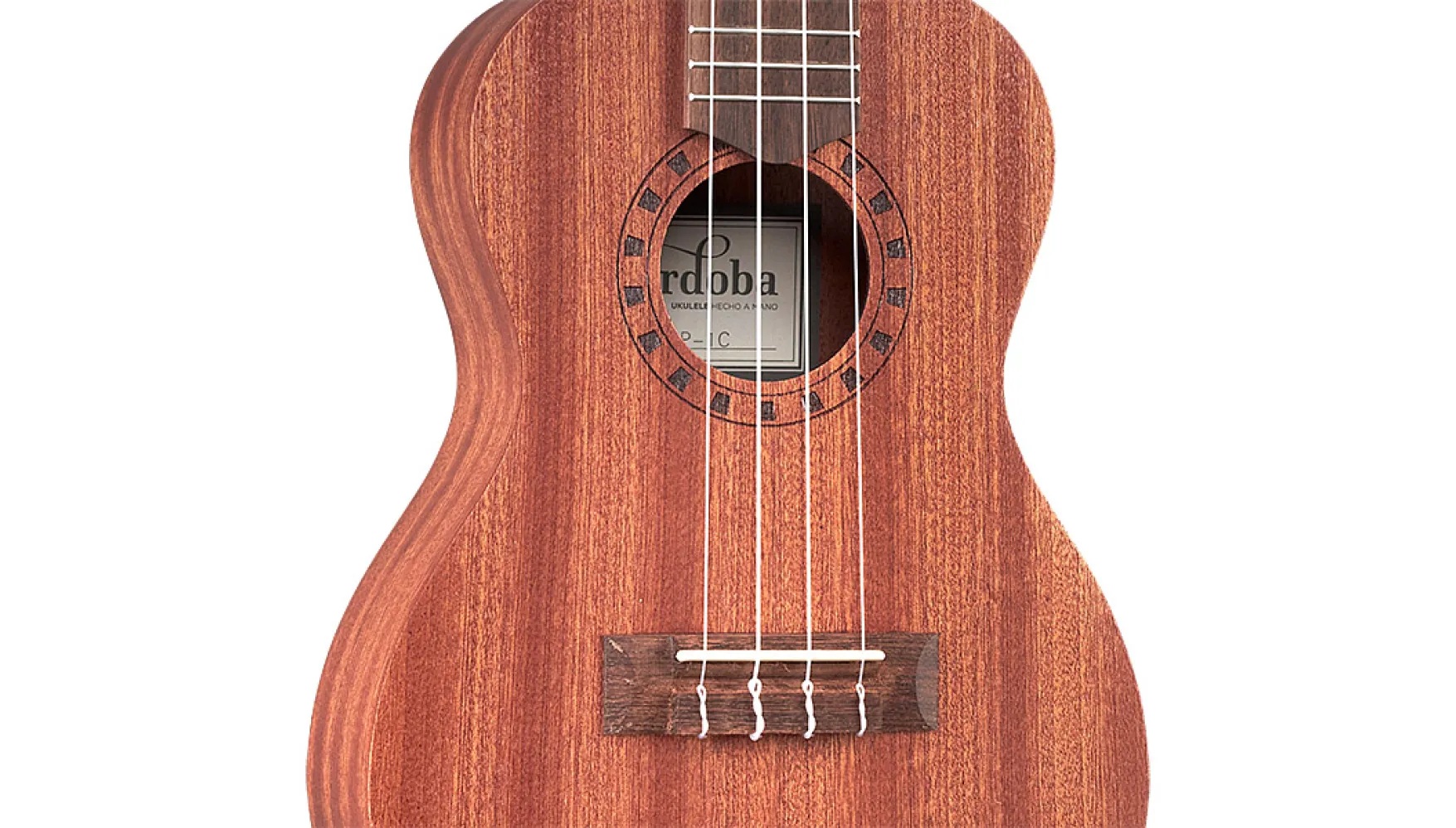 Close-up body view of concert-sized ukulele