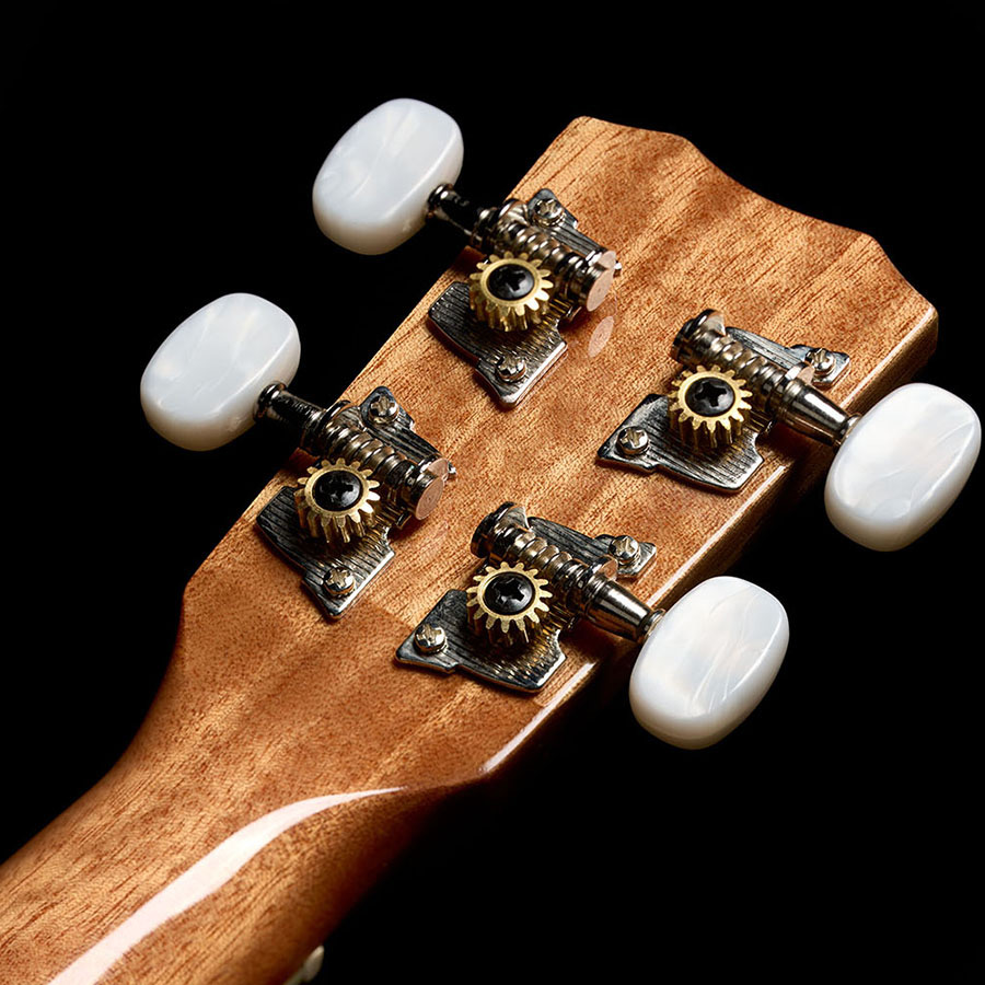 Back of the headstock of Córdoba 15C Catalonia Green ukulele thumbnail