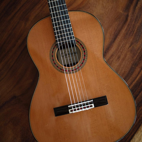 GUITARS