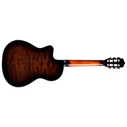 Horizontal back view of Fusion 5 Sonata Burst thumb