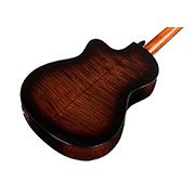 Angled back view of Fusion 5 Sonata Burst thumb